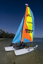 Load image into Gallery viewer, Hobie Dragoon
sku:HDRAGOONCLUB
