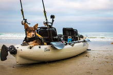 Load image into Gallery viewer, Adventurous dog sits in Hobie kayak on the beach
sku:820339-22