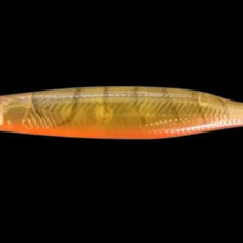 Load image into Gallery viewer, Hurricane Lure Switch 66 Demon_Suji
 sku:HL-S6601
